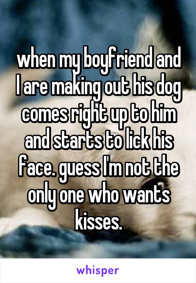 when my boyfriend and I are making out his dog comes right up to him and starts to lick his face. guess I'm not the only one who wants kisses.