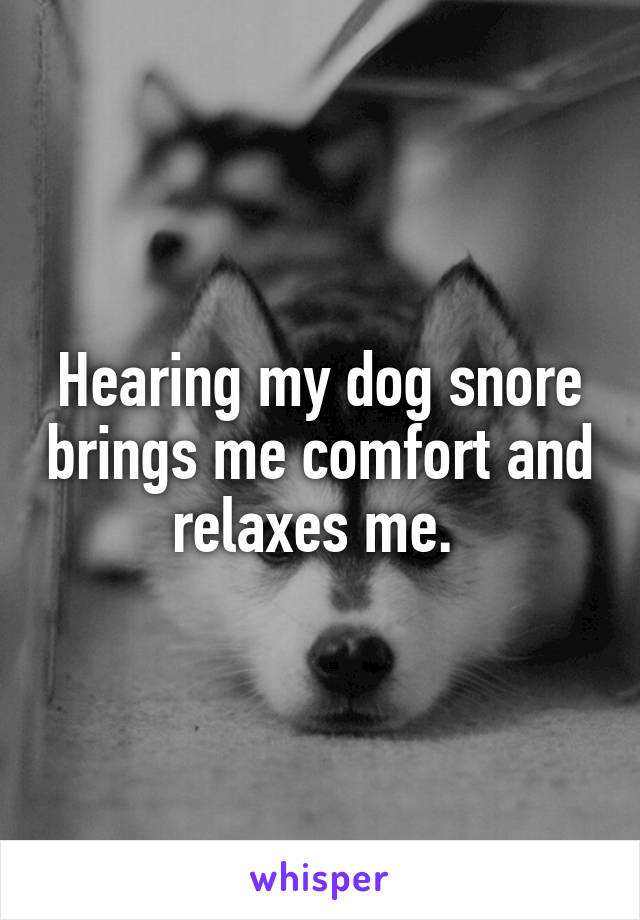 Hearing my dog snore brings me comfort and relaxes me. 