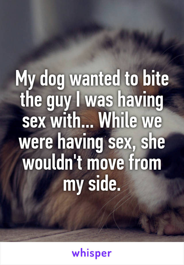 My dog wanted to bite the guy I was having sex with... While we were having sex, she wouldn't move from my side.