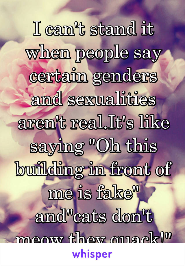I can't stand it when people say certain genders and sexualities aren't real.It's like saying "Oh this building in front of me is fake" and"cats don't meow they quack!"