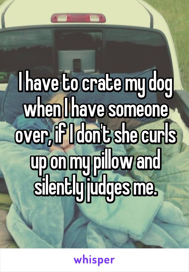 I have to crate my dog when I have someone over, if I don't she curls up on my pillow and silently judges me.