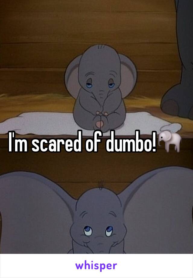 I'm scared of dumbo!🐘
