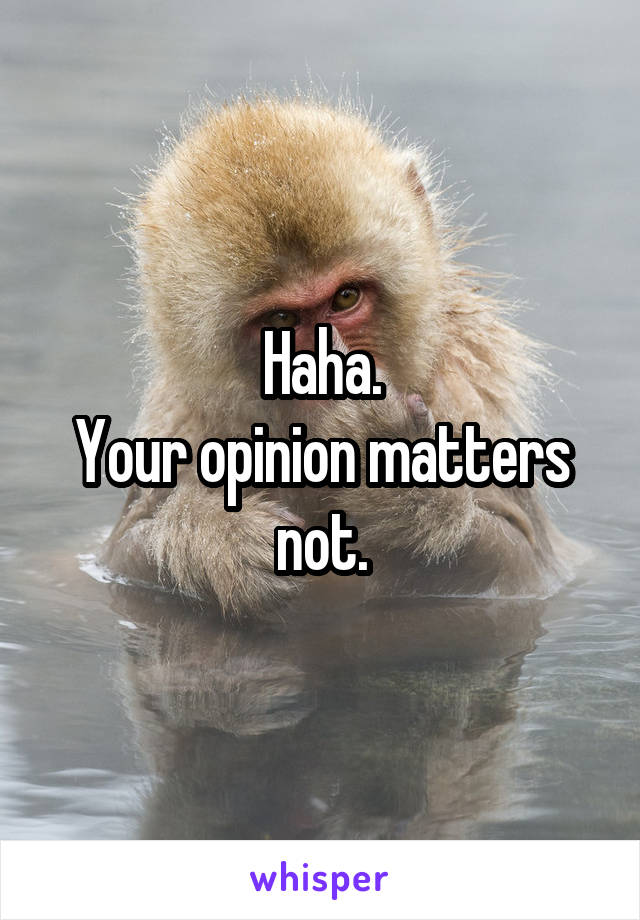 Haha.
Your opinion matters not.