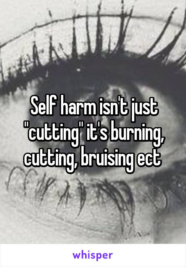 Self harm isn't just "cutting" it's burning, cutting, bruising ect 