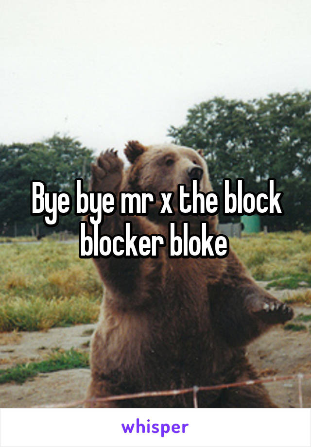 Bye bye mr x the block blocker bloke 