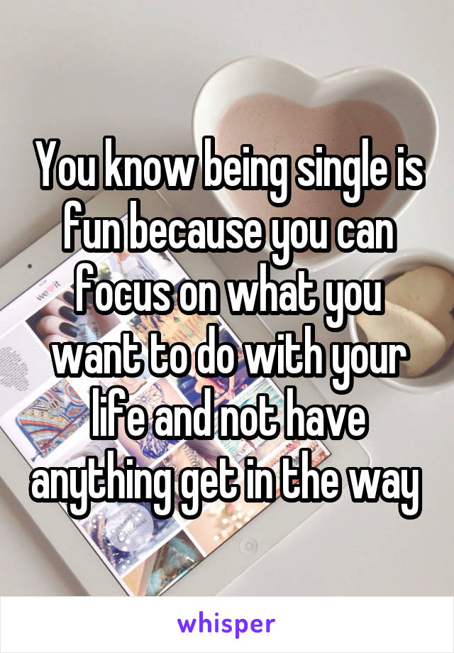 You know being single is fun because you can focus on what you want to do with your life and not have anything get in the way 