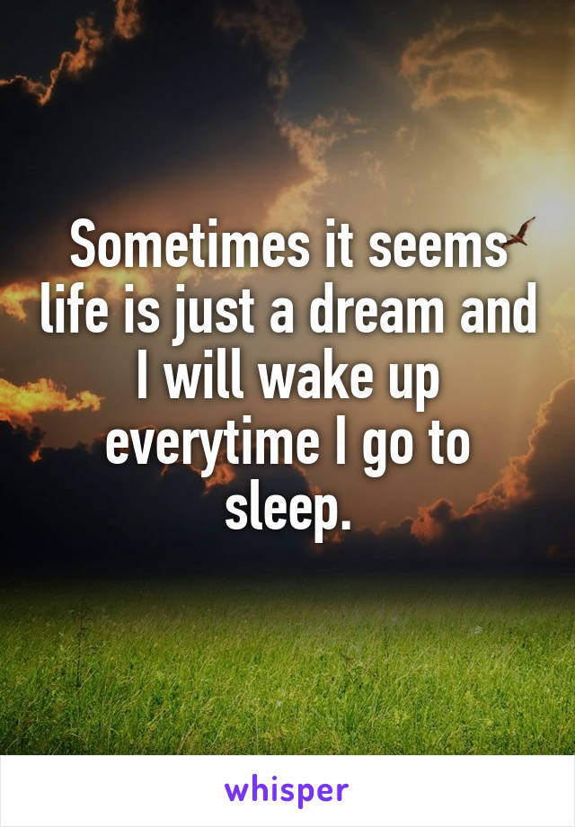 Sometimes it seems life is just a dream and I will wake up everytime I go to sleep.
