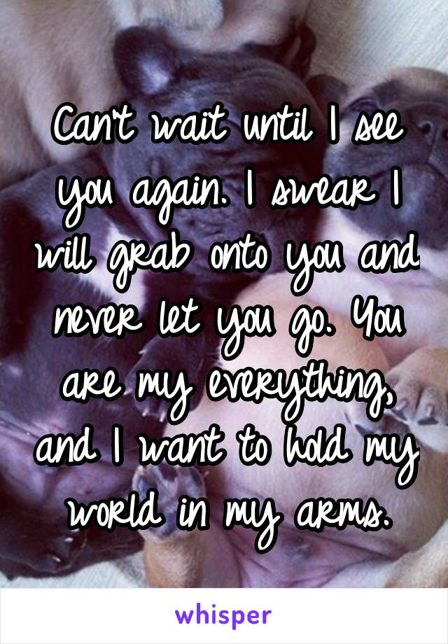 Can't wait until I see you again. I swear I will grab onto you and never let you go. You are my everything, and I want to hold my world in my arms.