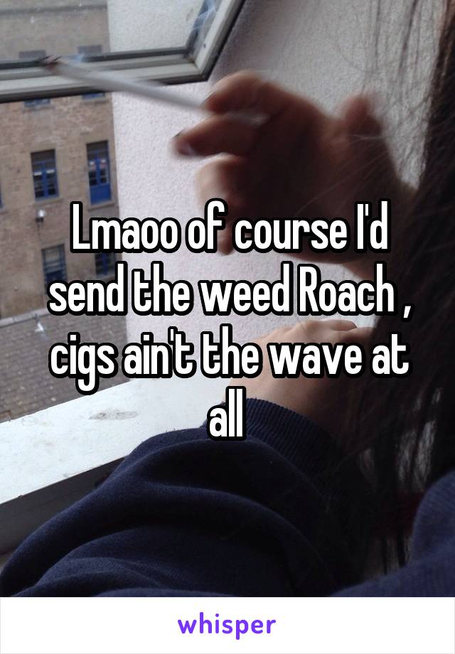 Lmaoo of course I'd send the weed Roach , cigs ain't the wave at all 