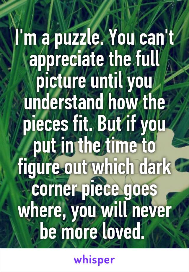 I'm a puzzle. You can't appreciate the full picture until you understand how the pieces fit. But if you put in the time to figure out which dark corner piece goes where, you will never be more loved. 