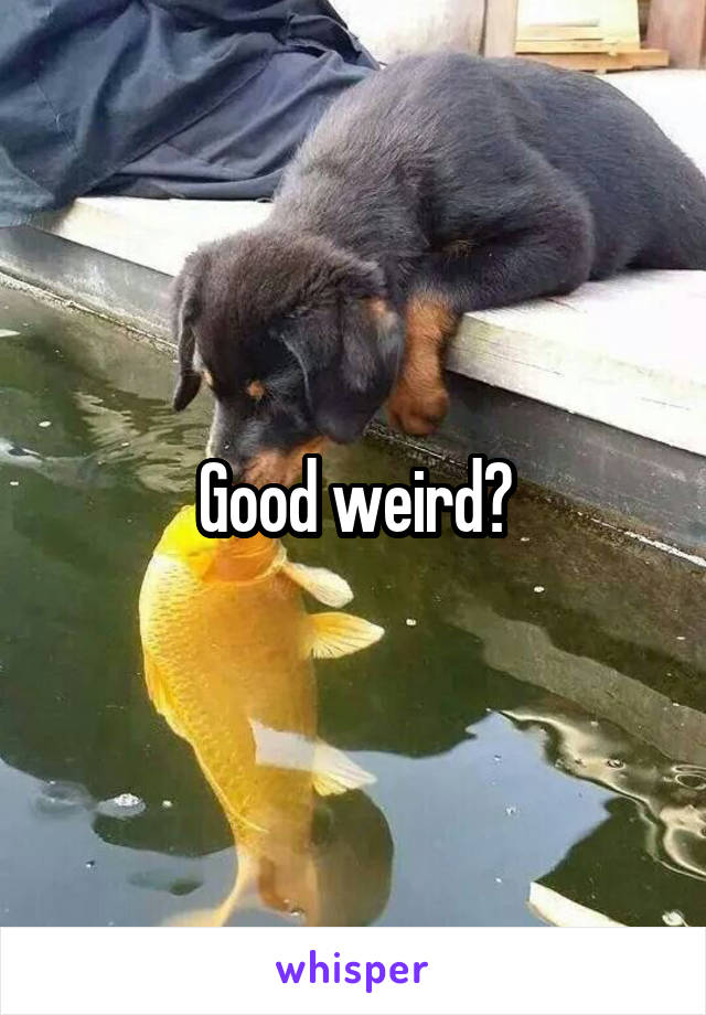 Good weird?