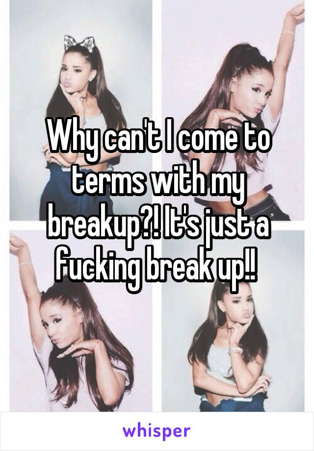 Why can't I come to terms with my breakup?! It's just a fucking break up!! 
