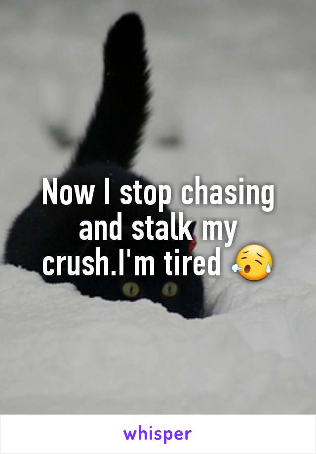 Now I stop chasing and stalk my crush.I'm tired 😥