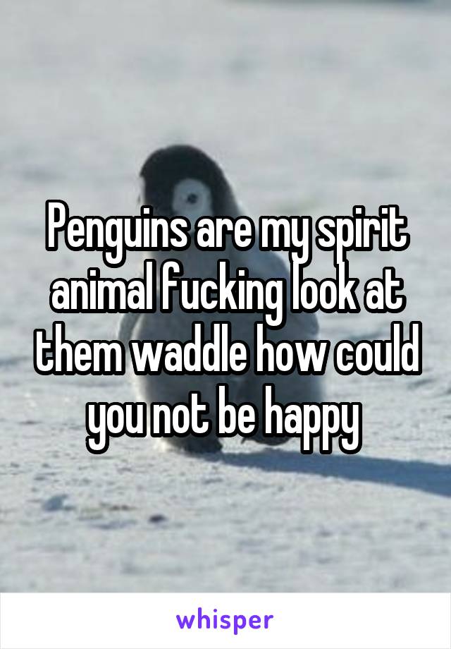 Penguins are my spirit animal fucking look at them waddle how could you not be happy 