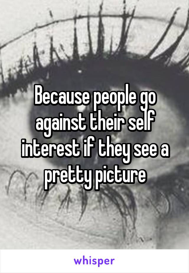 Because people go against their self interest if they see a pretty picture