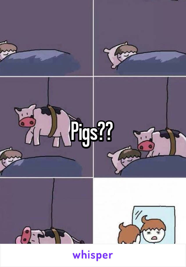 Pigs?? 