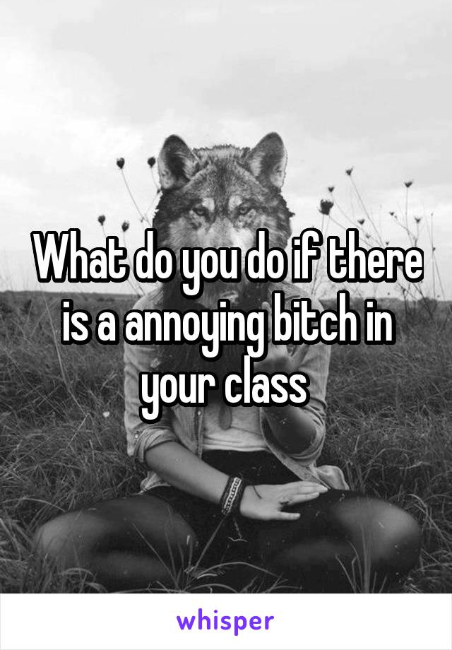 What do you do if there is a annoying bitch in your class 