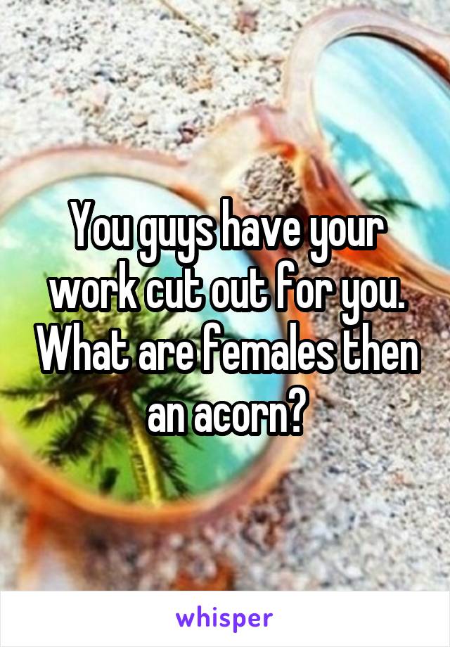 You guys have your work cut out for you. What are females then an acorn?