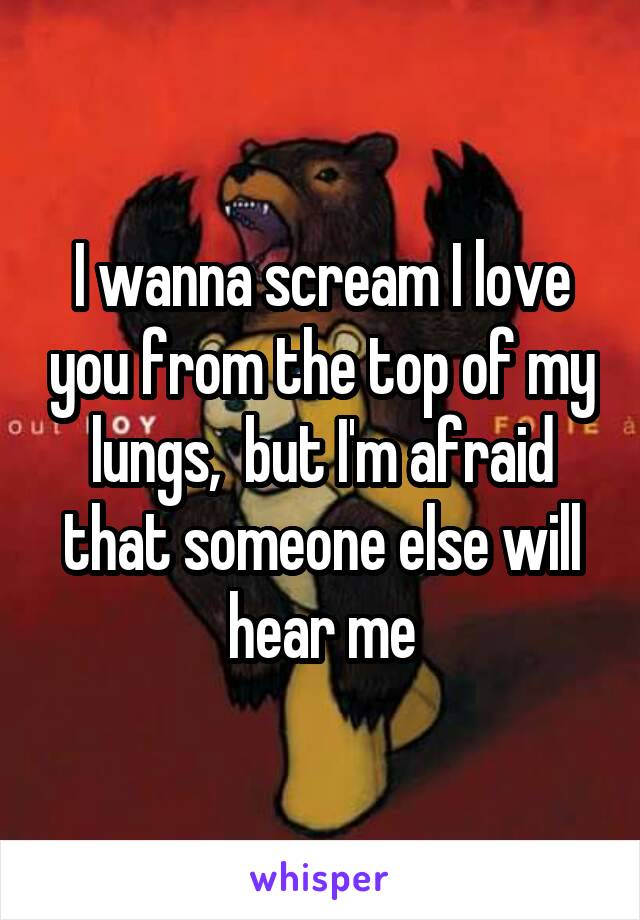 I wanna scream I love you from the top of my lungs,  but I'm afraid that someone else will hear me