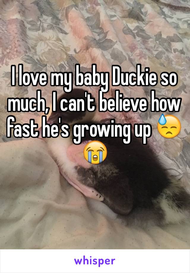 I love my baby Duckie so much, I can't believe how fast he's growing up 😓😭