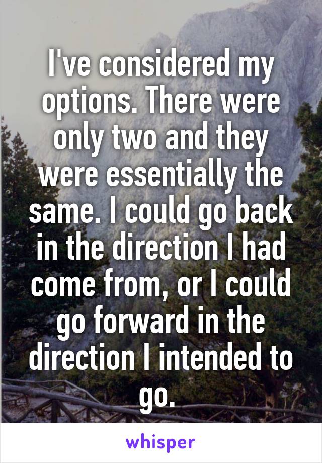 I've considered my options. There were only two and they were essentially the same. I could go back in the direction I had come from, or I could go forward in the direction I intended to go. 