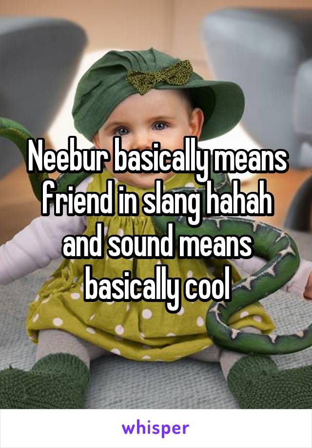 Neebur basically means friend in slang hahah and sound means basically cool