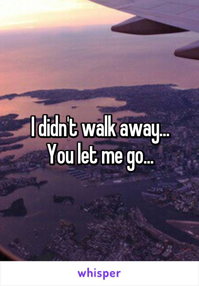 I didn't walk away...
You let me go...