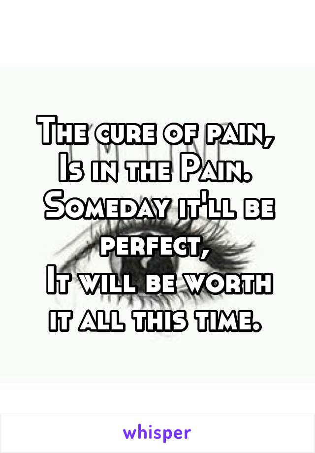 The cure of pain, 
Is in the Pain. 
Someday it'll be perfect, 
It will be worth it all this time. 