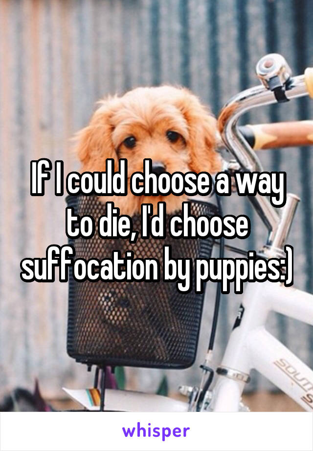 If I could choose a way to die, I'd choose suffocation by puppies:)