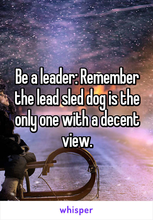 Be a leader: Remember the lead sled dog is the only one with a decent view.