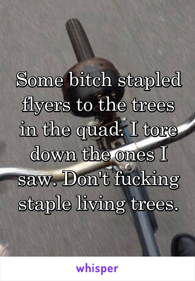 Some bitch stapled flyers to the trees in the quad. I tore down the ones I saw. Don't fucking staple living trees.