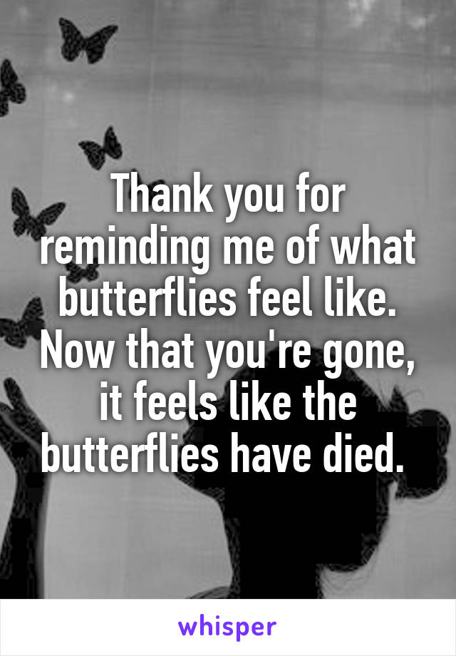 Thank you for reminding me of what butterflies feel like. Now that you're gone, it feels like the butterflies have died. 