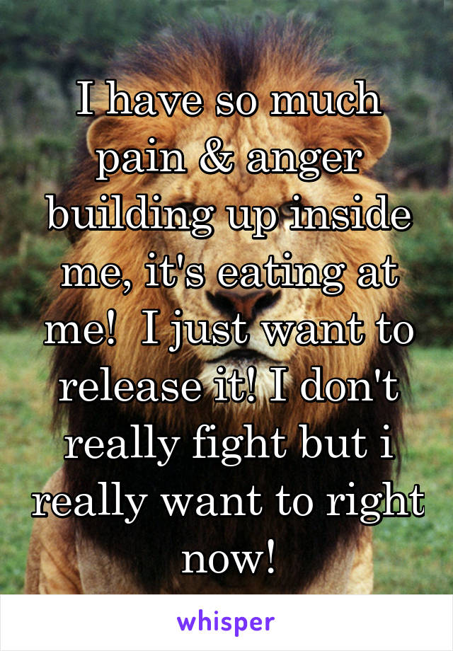 I have so much pain & anger building up inside me, it's eating at me!  I just want to release it! I don't really fight but i really want to right now!