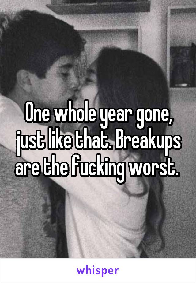 One whole year gone, just like that. Breakups are the fucking worst. 