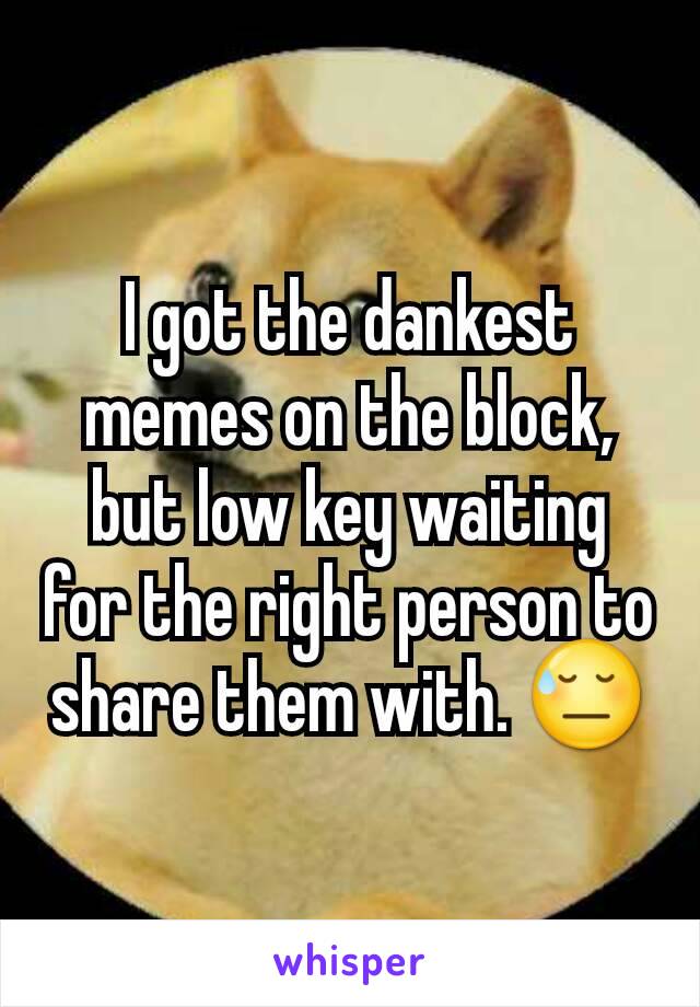 I got the dankest memes on the block, but low key waiting for the right person to share them with. 😓