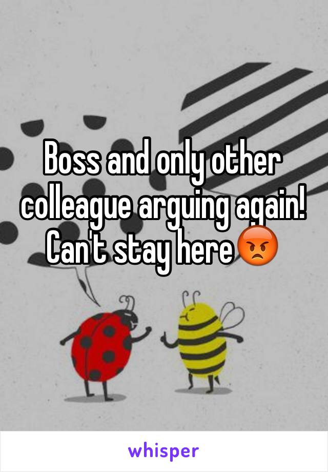 Boss and only other colleague arguing again! 
Can't stay here😡