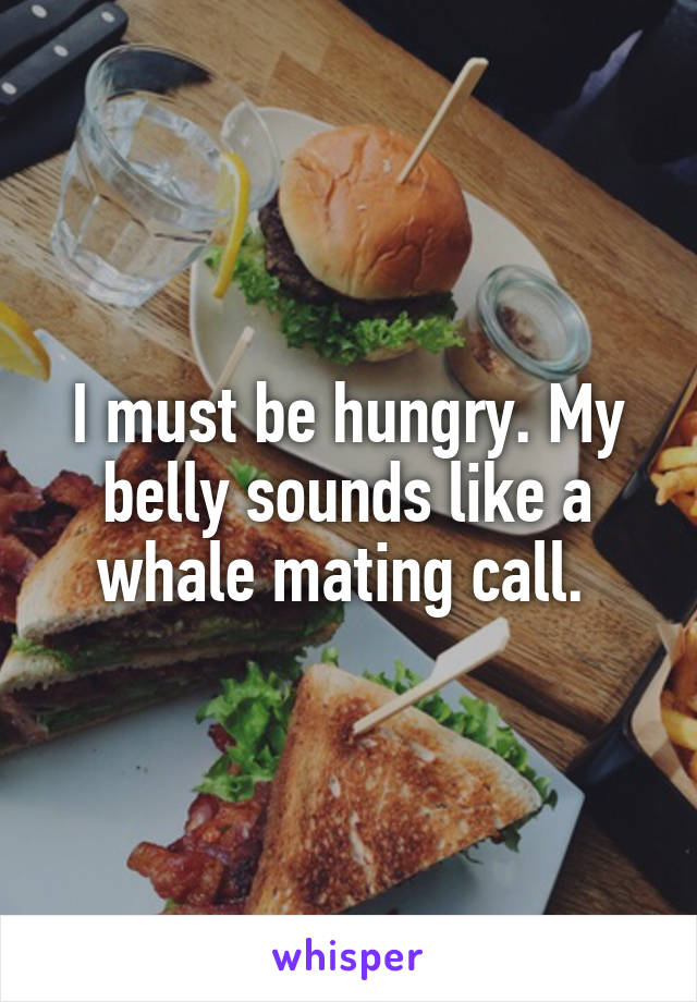 I must be hungry. My belly sounds like a whale mating call. 