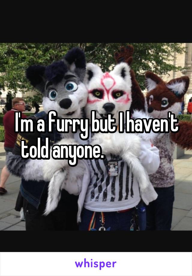 I'm a furry but I haven't told anyone.                   