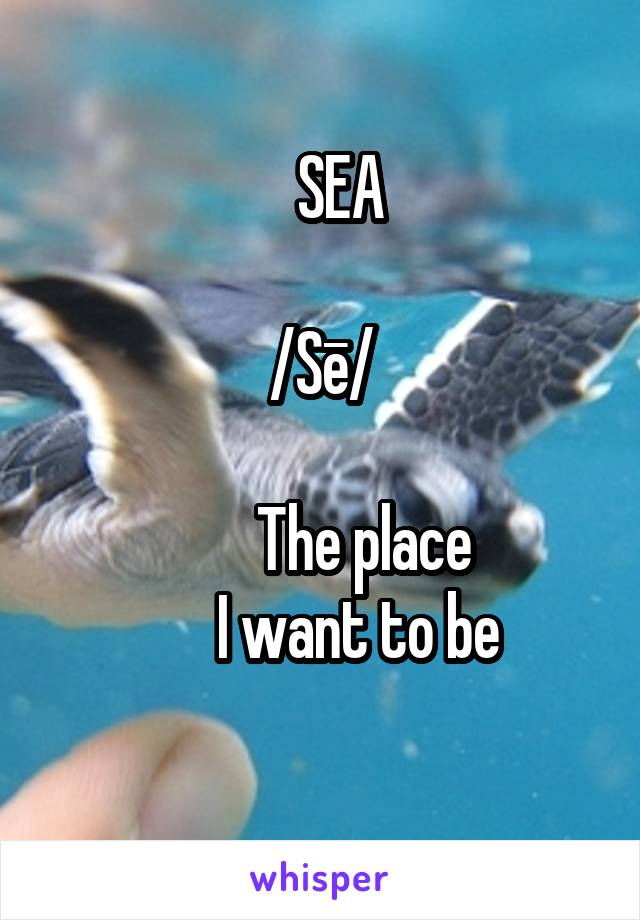    SEA

/Sē/

        The place 
      I want to be
