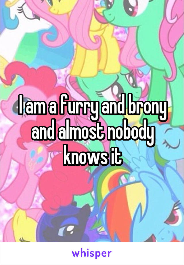 I am a furry and brony and almost nobody knows it