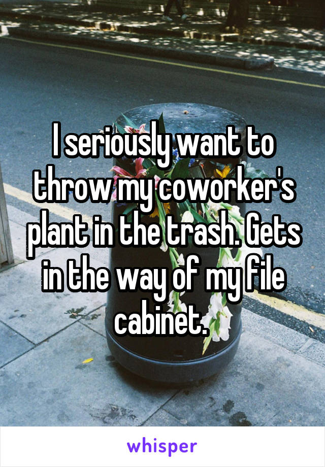 I seriously want to throw my coworker's plant in the trash. Gets in the way of my file cabinet. 