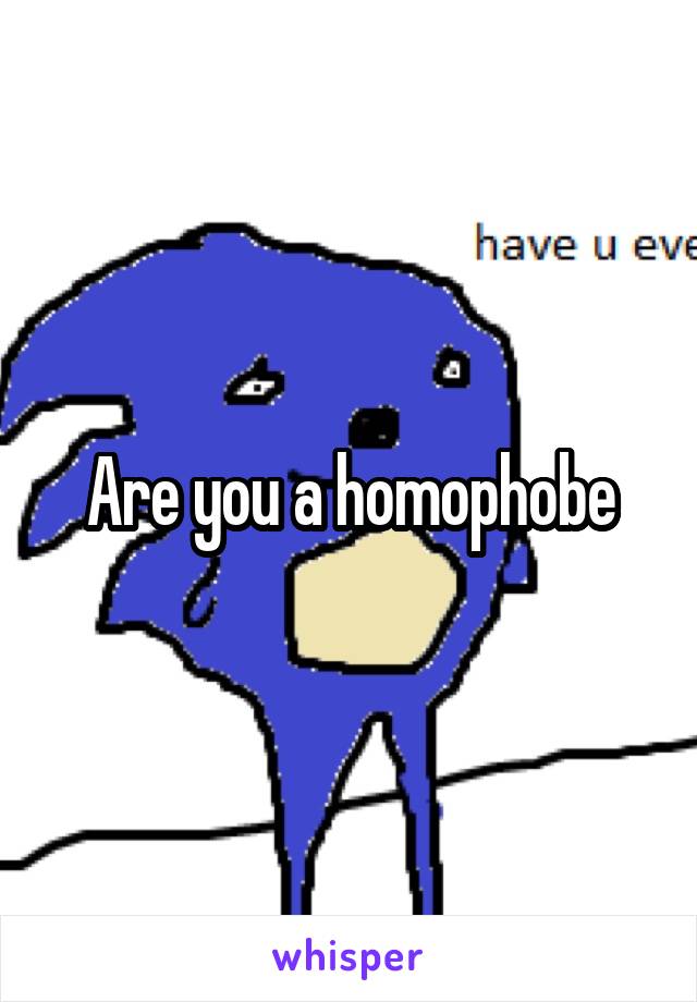 Are you a homophobe