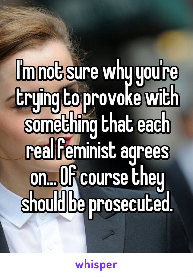 I'm not sure why you're trying to provoke with something that each real feminist agrees on... Of course they should be prosecuted.