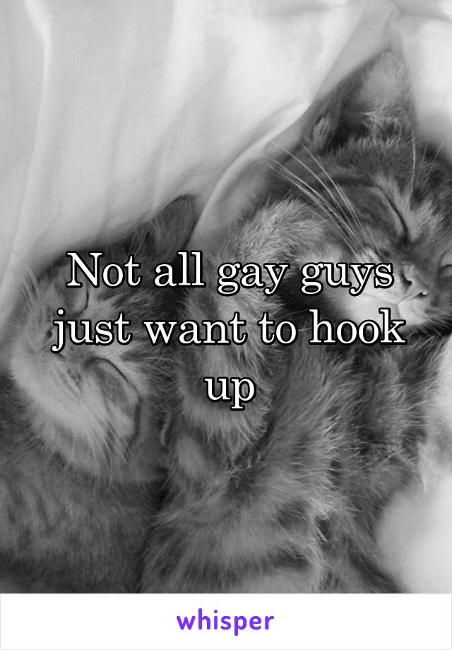 Not all gay guys just want to hook up