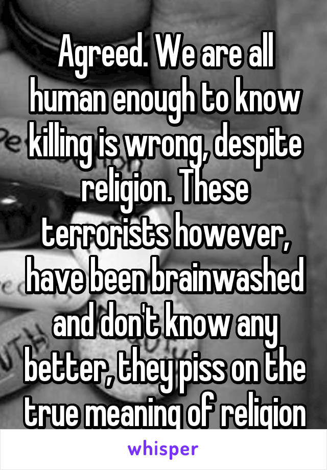 Agreed. We are all human enough to know killing is wrong, despite religion. These terrorists however, have been brainwashed and don't know any better, they piss on the true meaning of religion