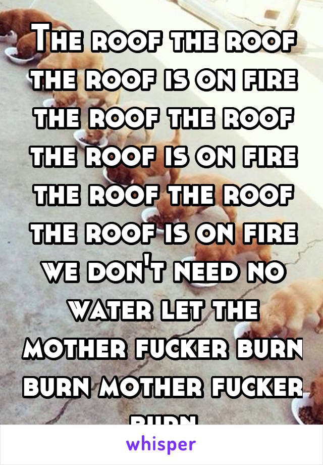 The roof the roof the roof is on fire the roof the roof the roof is on fire the roof the roof the roof is on fire we don't need no water let the mother fucker burn burn mother fucker burn