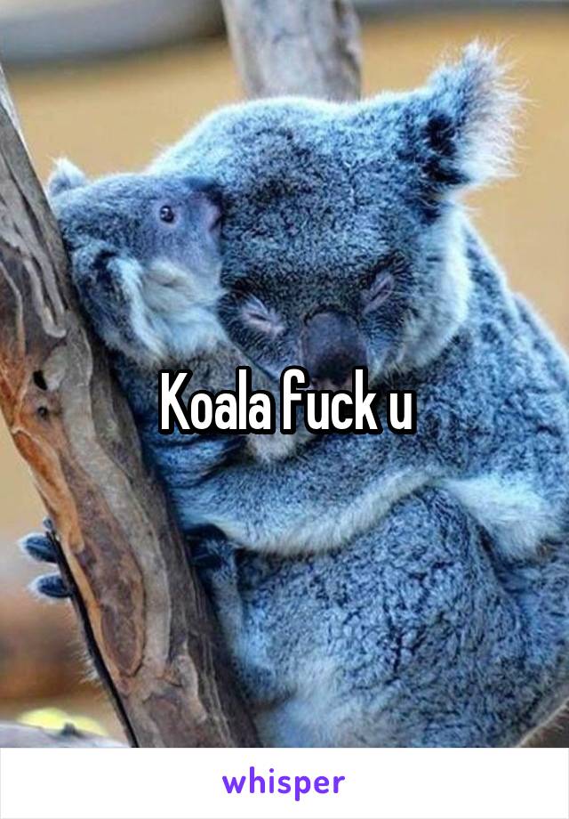 Koala fuck u