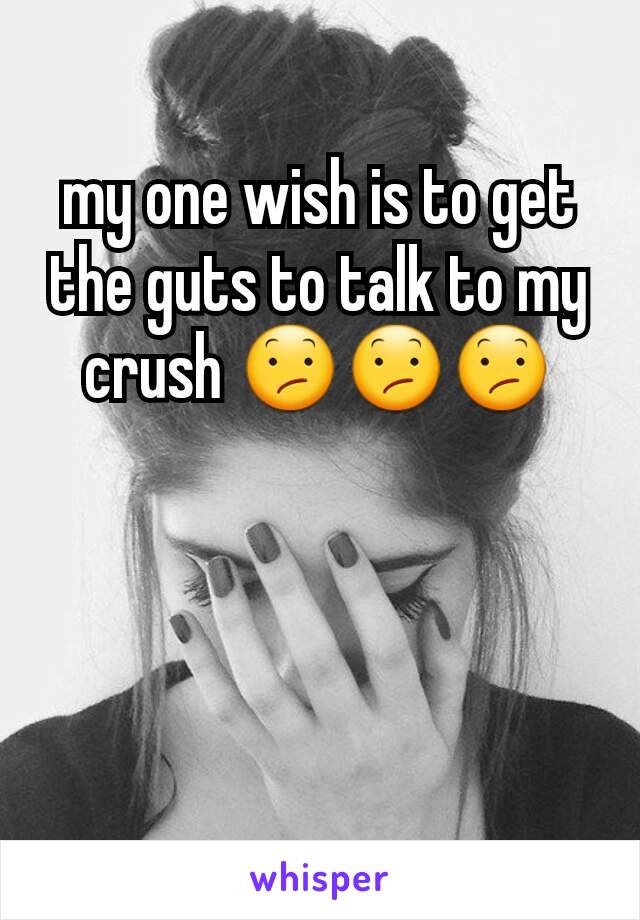 my one wish is to get the guts to talk to my crush 😕😕😕