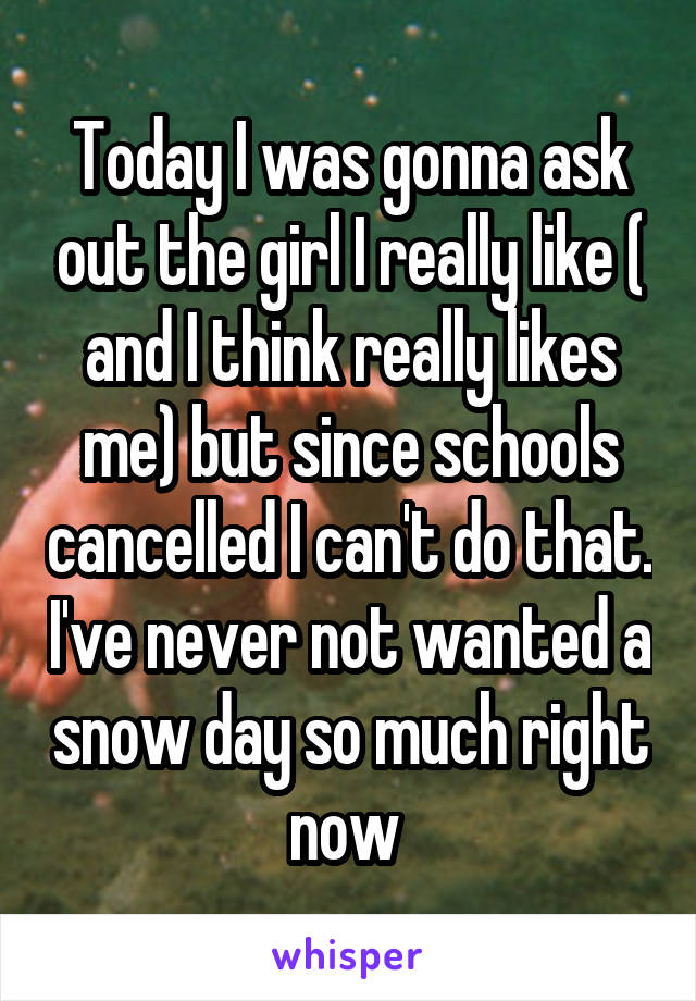 Today I was gonna ask out the girl I really like ( and I think really likes me) but since schools cancelled I can't do that. I've never not wanted a snow day so much right now 