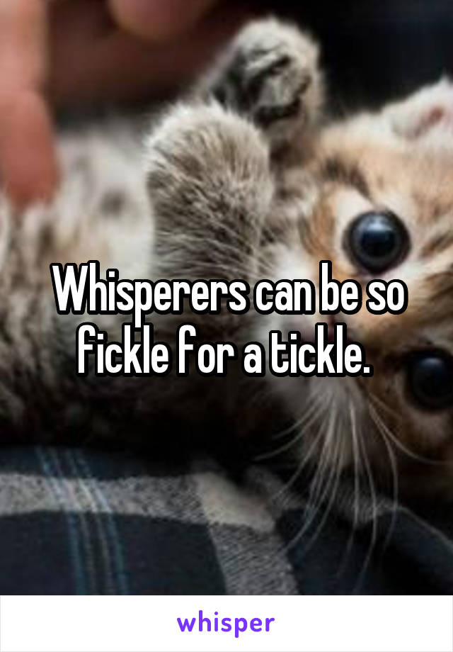 Whisperers can be so fickle for a tickle. 